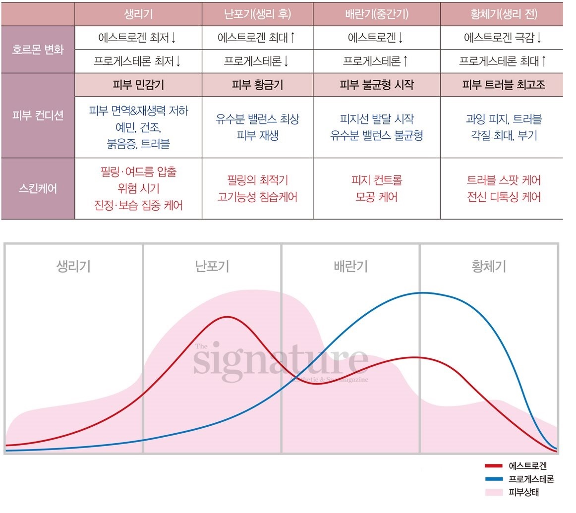 이유스킨 이미지