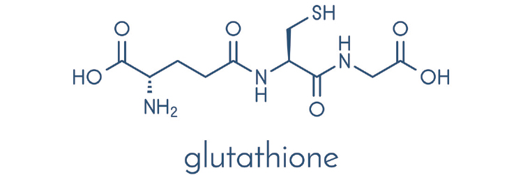 glutathione 뜻 What is glutathione and why must we protect patient access to it? main image 0